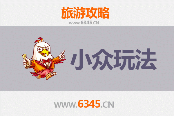 德州夏津小众玩法探秘：古桑林、黄河故道与乡村慢时光