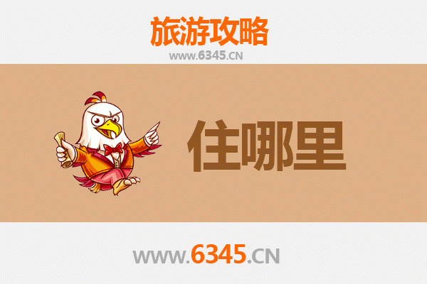 德州夏津旅游住宿全攻略：古韵风情与舒适体验完美融合