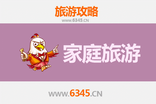 德州夏津亲子游攻略：黄河故道森林公园与家庭乐趣探索